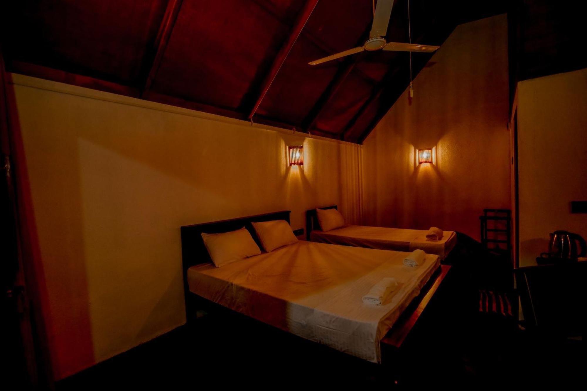דניאיאה The Rainforest Hideaway מראה חיצוני תמונה