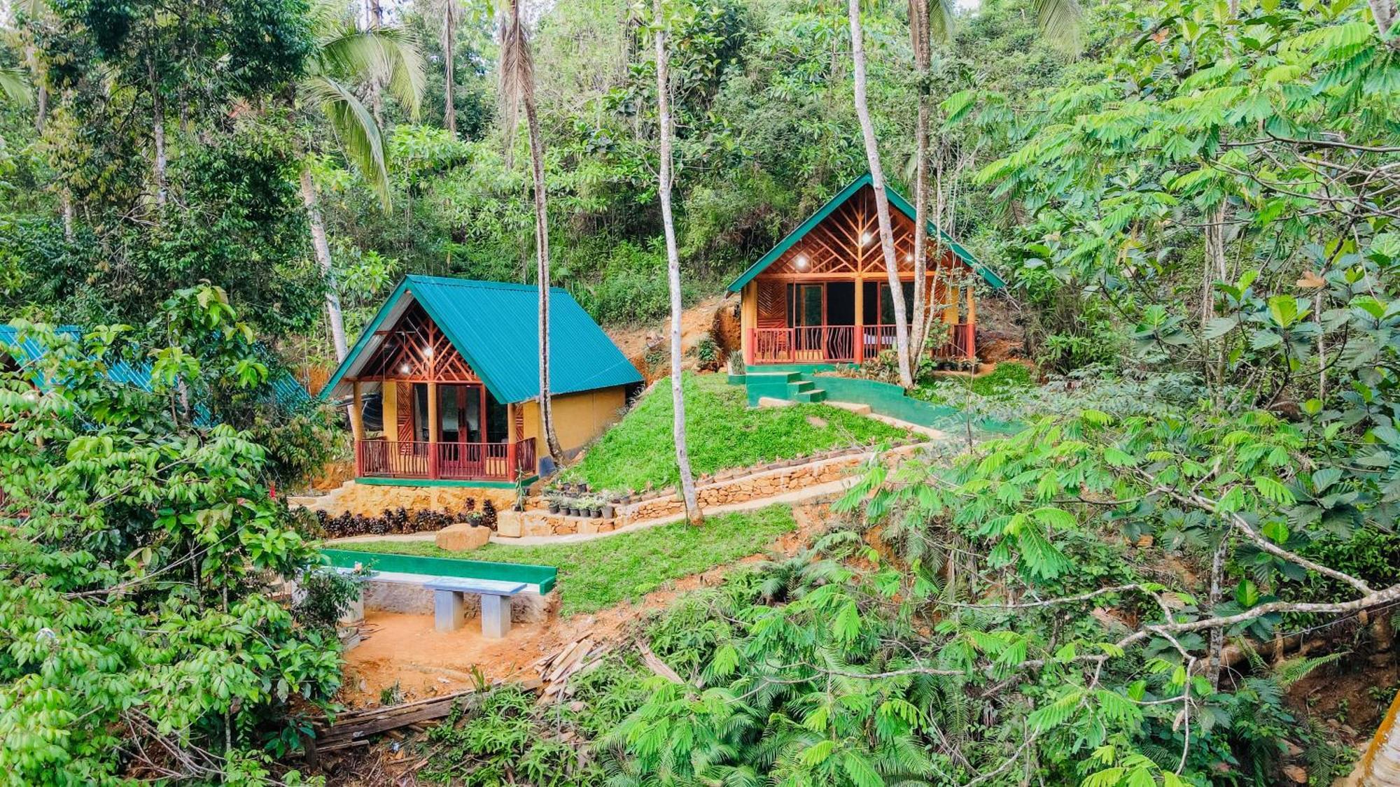 דניאיאה The Rainforest Hideaway מראה חיצוני תמונה