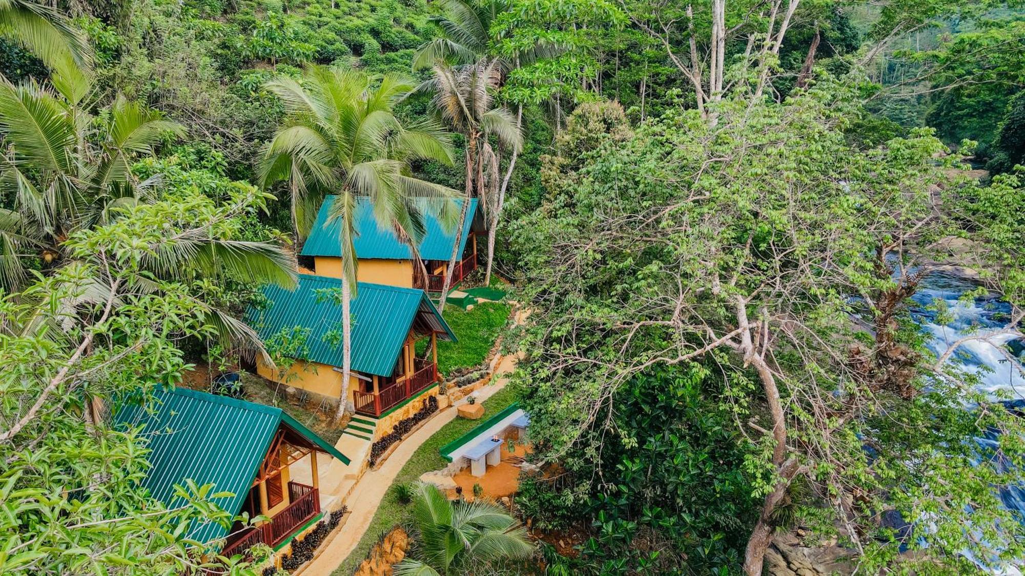 דניאיאה The Rainforest Hideaway מראה חיצוני תמונה