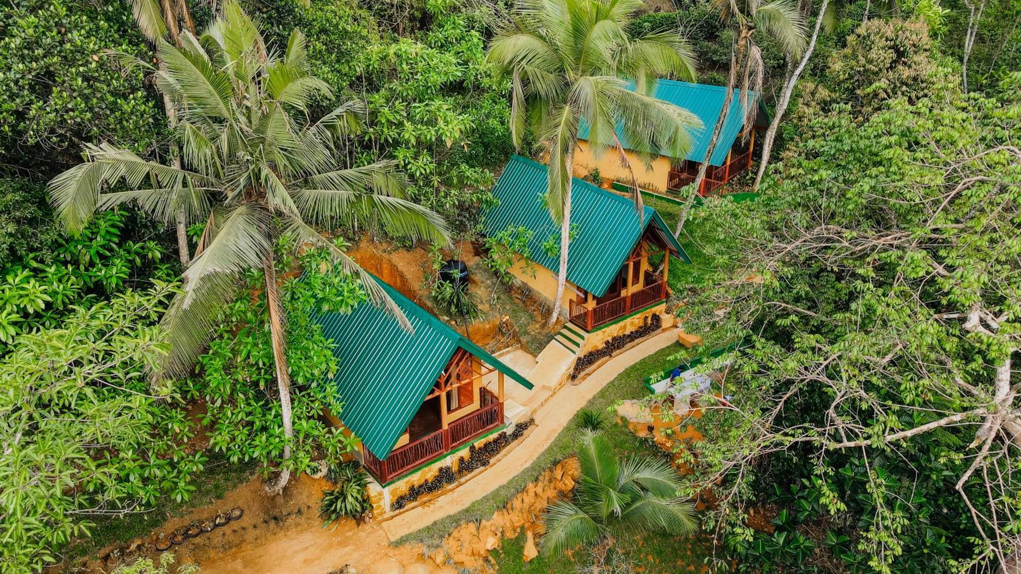 דניאיאה The Rainforest Hideaway מראה חיצוני תמונה