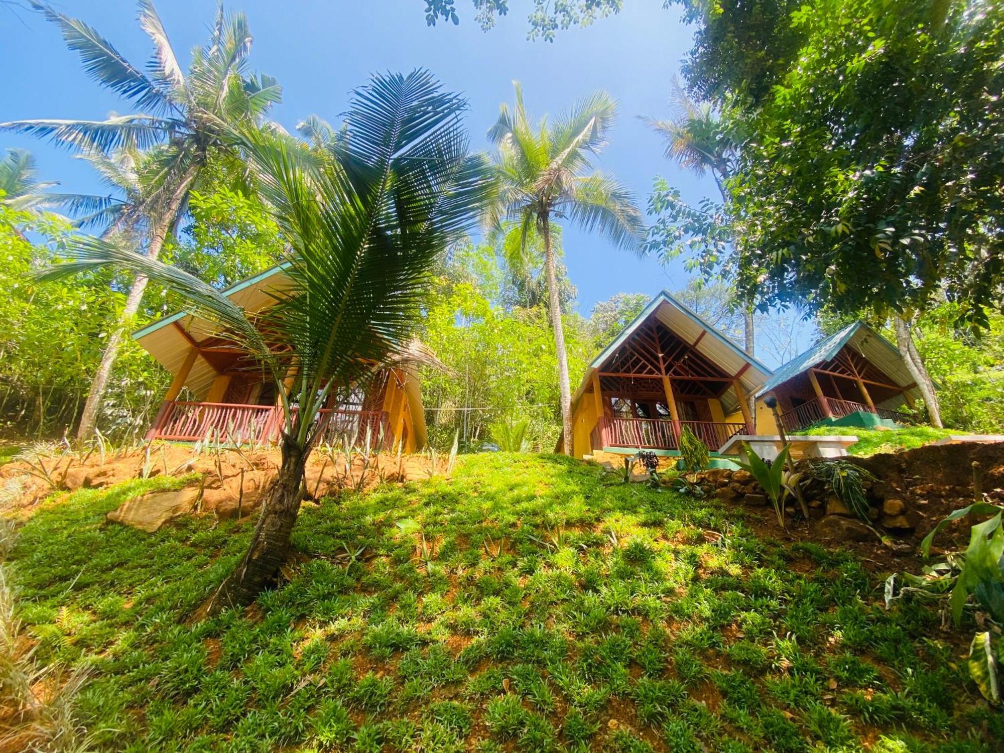 דניאיאה The Rainforest Hideaway מראה חיצוני תמונה