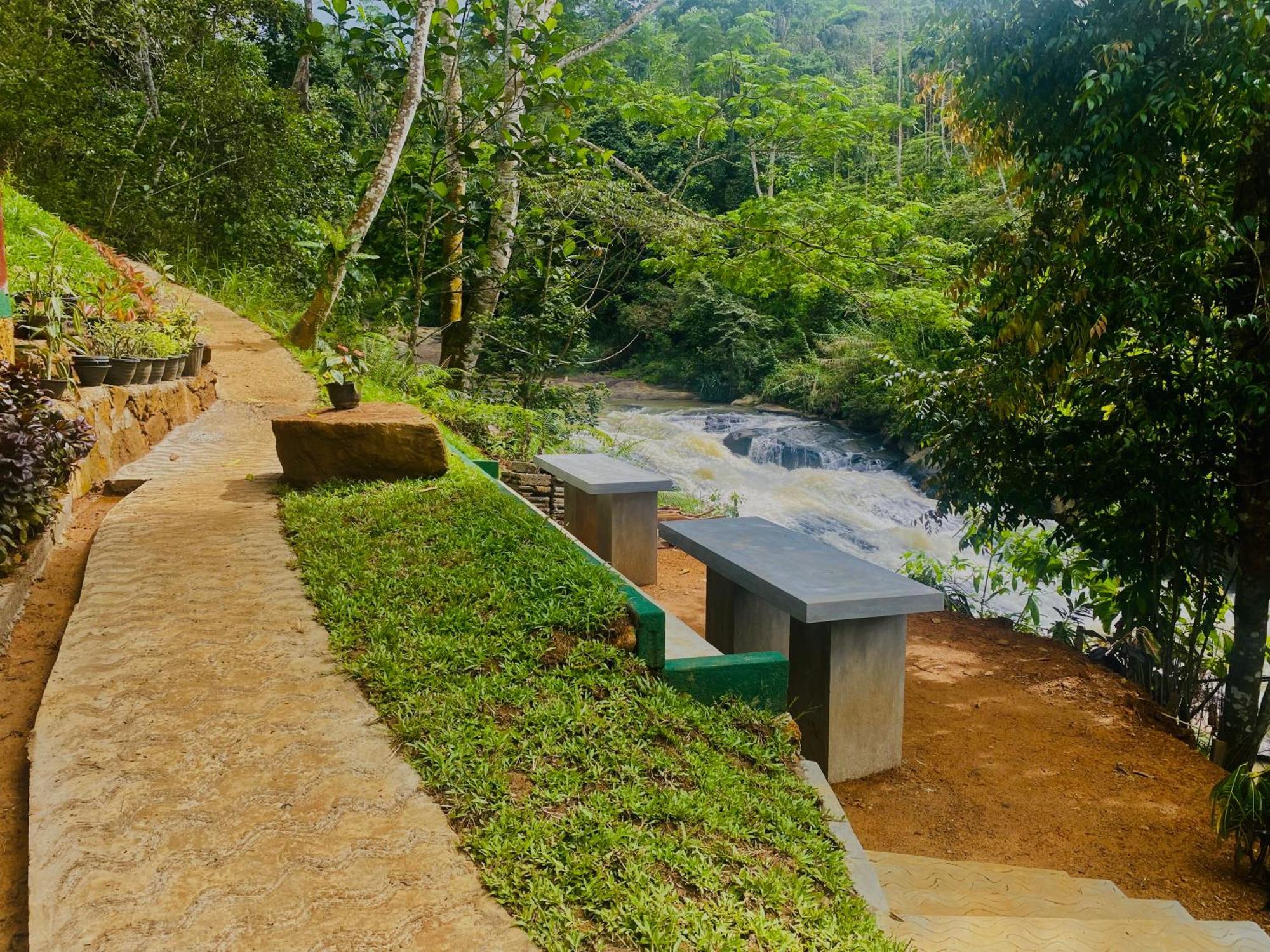 דניאיאה The Rainforest Hideaway מראה חיצוני תמונה