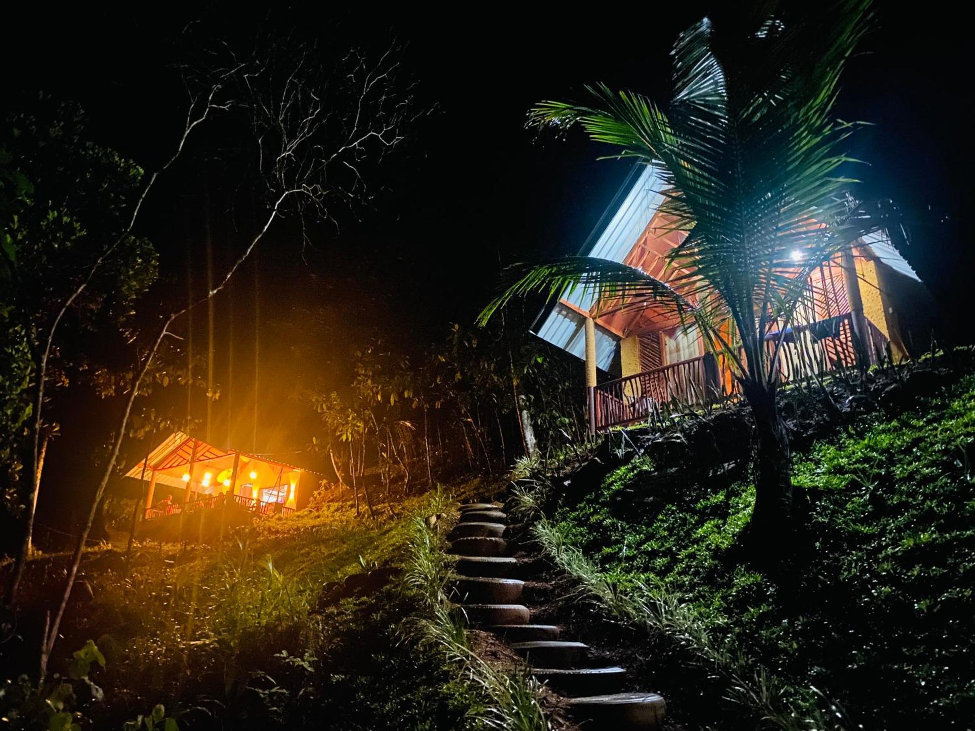 דניאיאה The Rainforest Hideaway מראה חיצוני תמונה