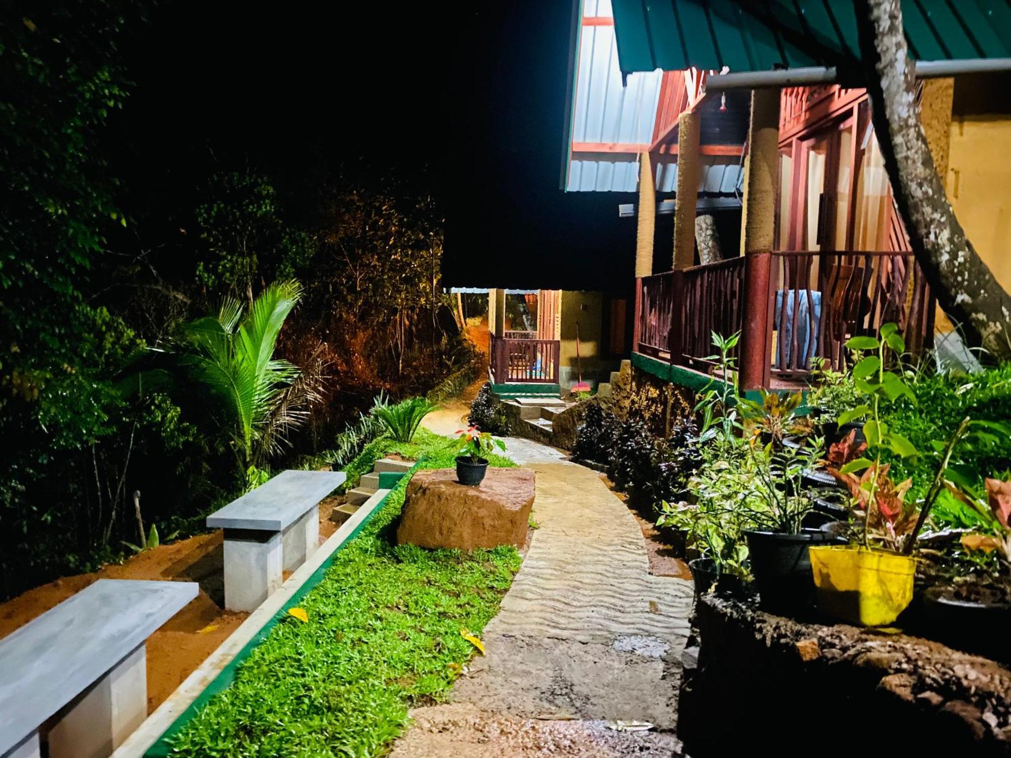 דניאיאה The Rainforest Hideaway מראה חיצוני תמונה