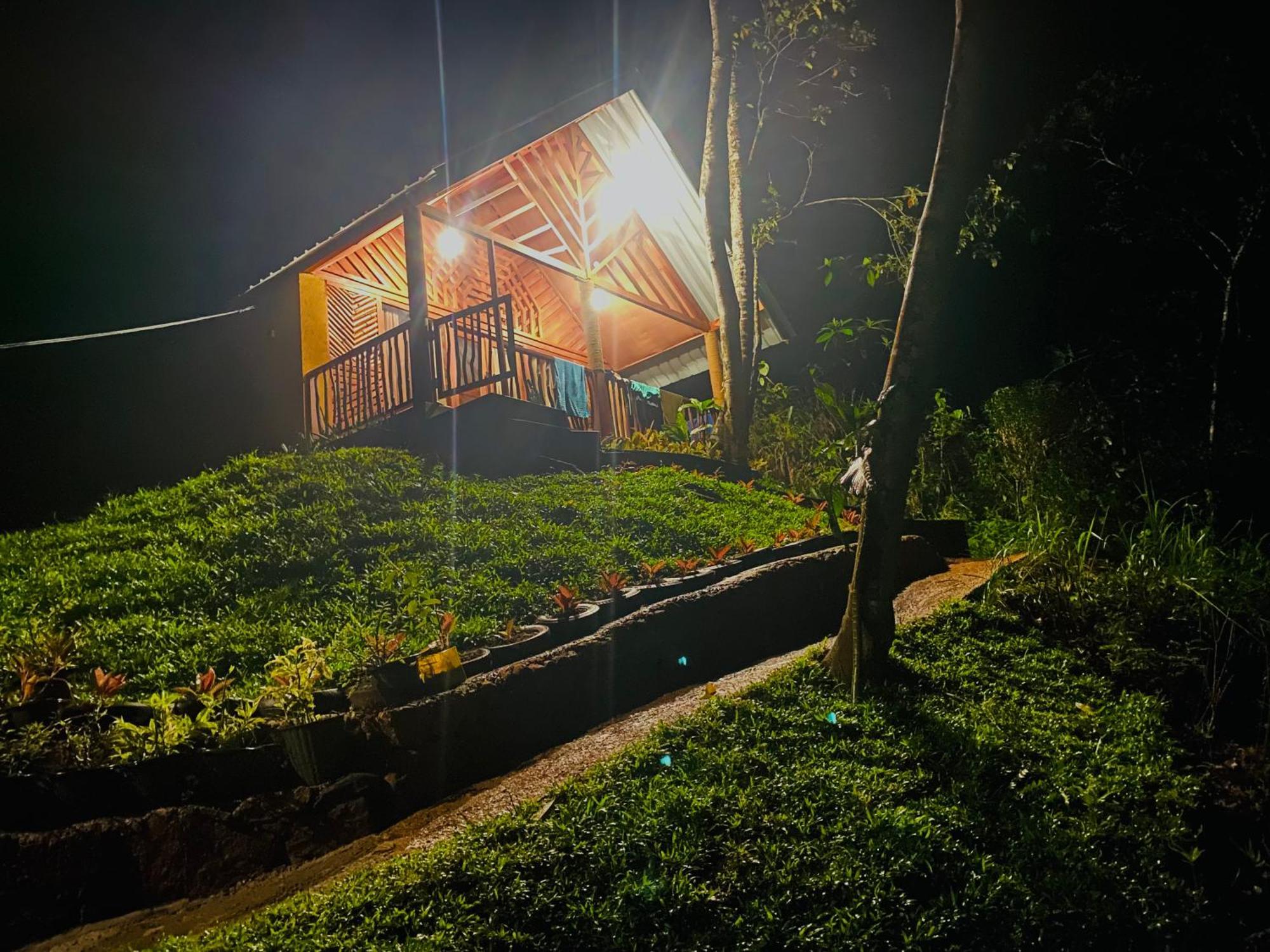 דניאיאה The Rainforest Hideaway מראה חיצוני תמונה