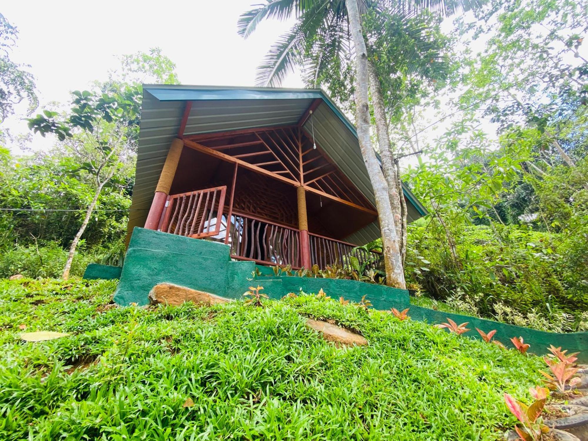 דניאיאה The Rainforest Hideaway מראה חיצוני תמונה