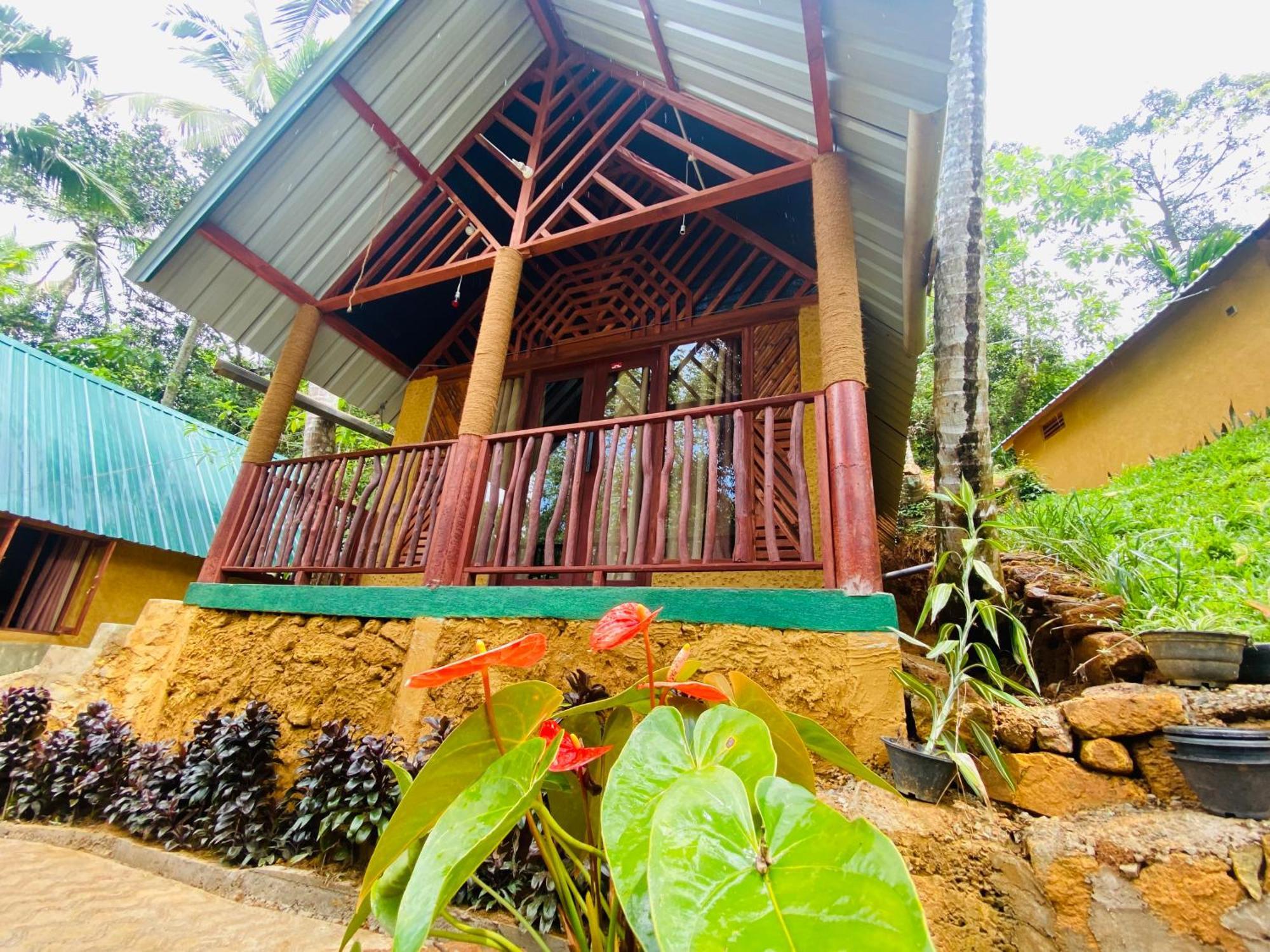 דניאיאה The Rainforest Hideaway מראה חיצוני תמונה
