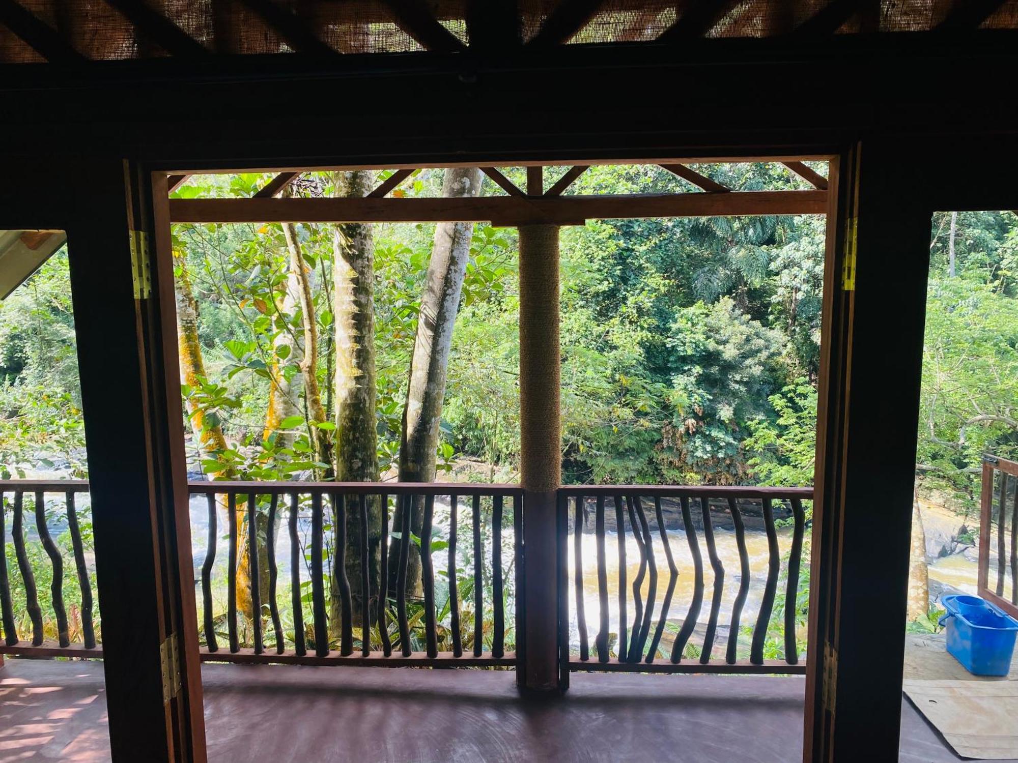 דניאיאה The Rainforest Hideaway מראה חיצוני תמונה
