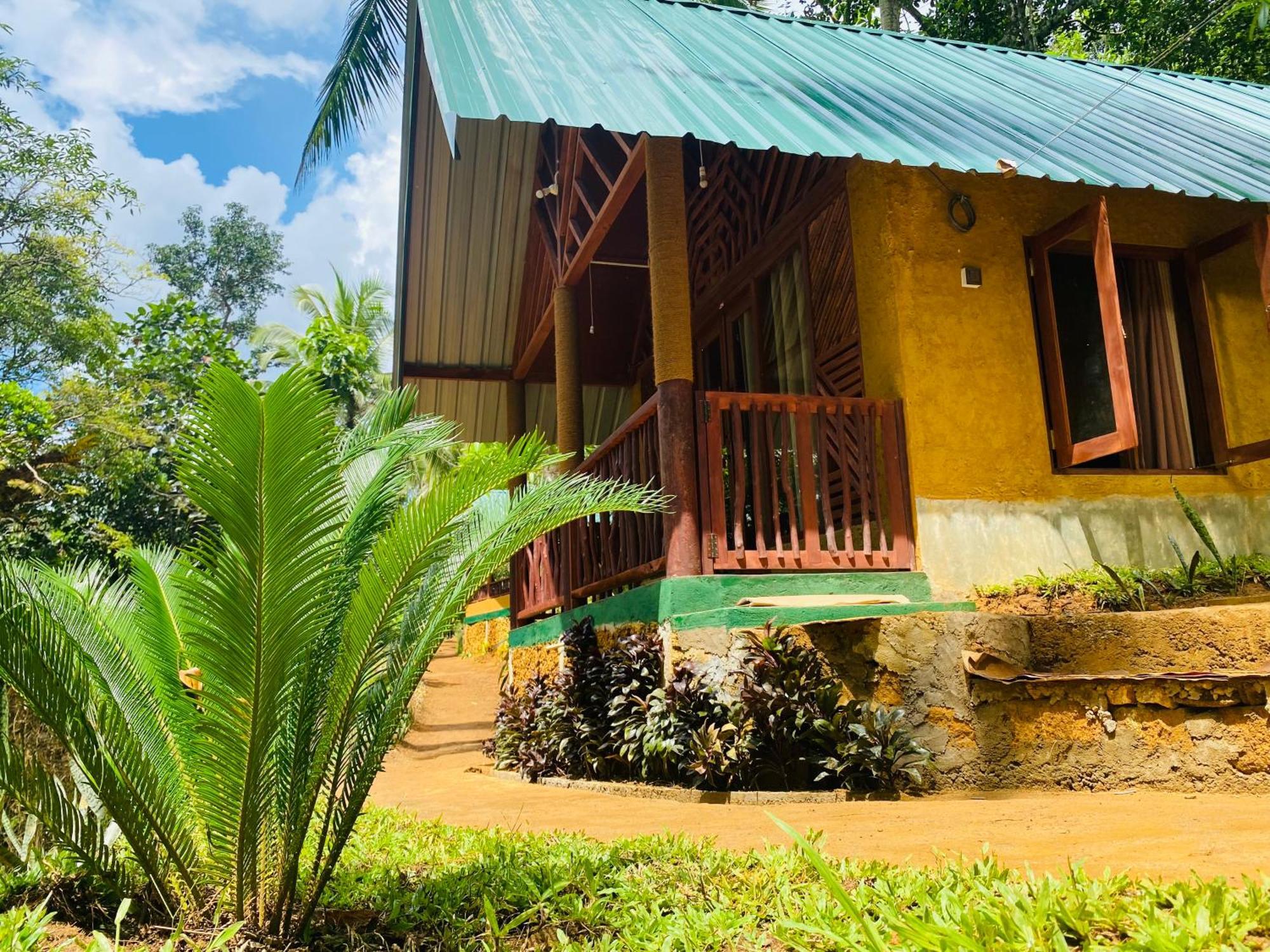 דניאיאה The Rainforest Hideaway מראה חיצוני תמונה