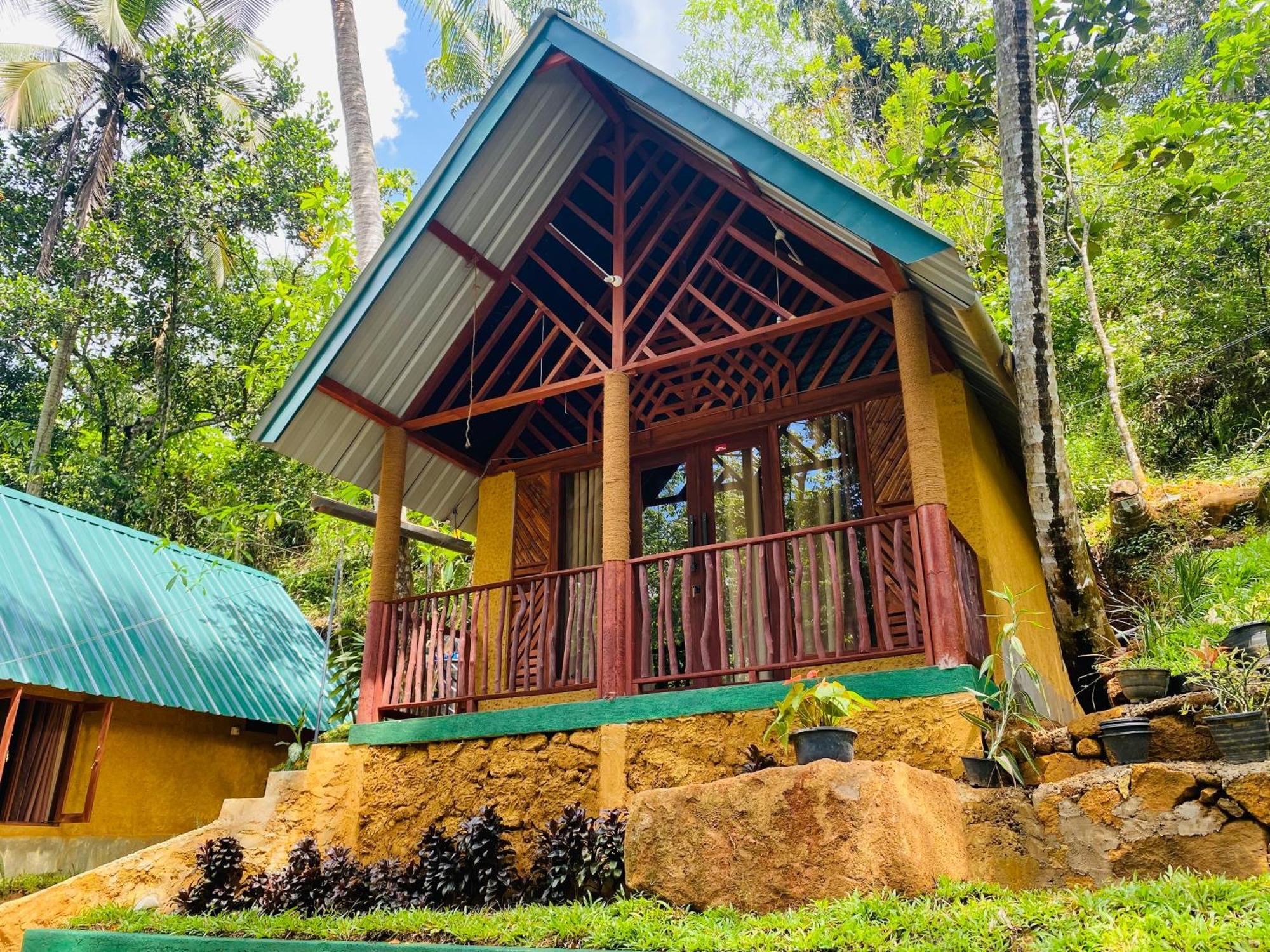דניאיאה The Rainforest Hideaway מראה חיצוני תמונה